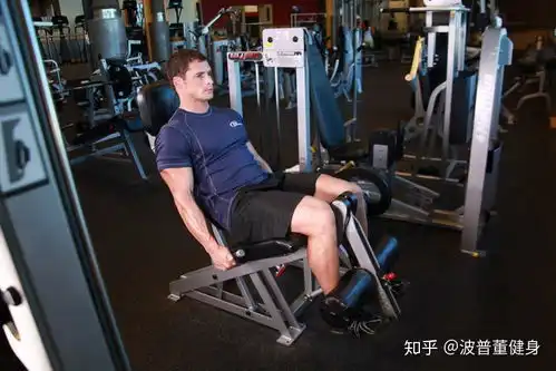 强壮大腿有一套,5个黄金动作提升你的腿部力量
