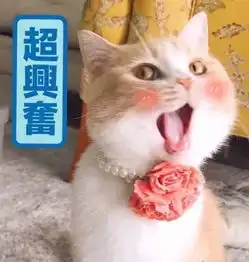原来你是这样的日剧之宠物情人2017
