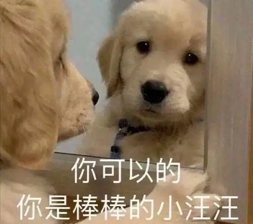 被诈骗的一生

