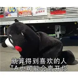 拥有一大波熊本熊表情包最新版遇到喜欢的东西就买吧
