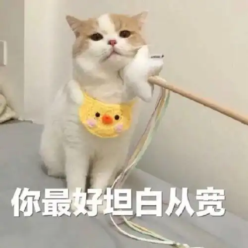 别敬屎不吃吃罚屎丨第312期喵表情包
