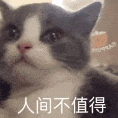 小姐姐,一起玩吗
