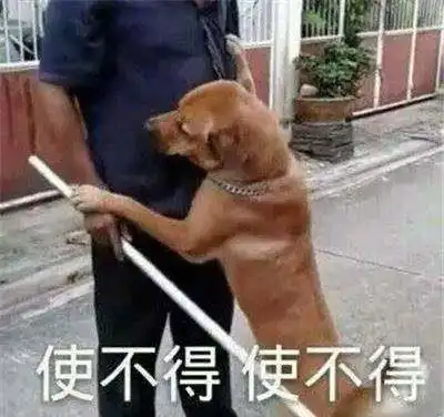 开心笑话各位同学,觉得自己很蠢的请站起来
