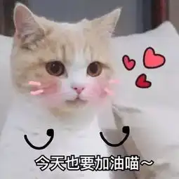 表情包恶龙咆哮,今天也要加油喵

