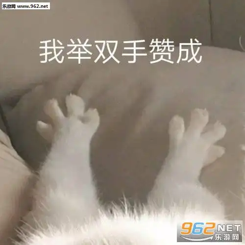 我举双手赞成猫爪图片表情包收到保证完成任务表情包下载乐游网游戏下载

