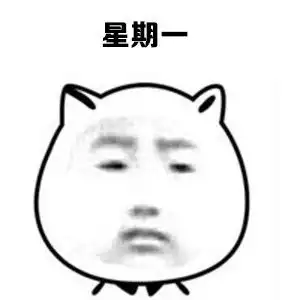 bitch猫咪竖中指bitch猫咪中指表情