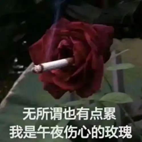致敬劫后余生的521
