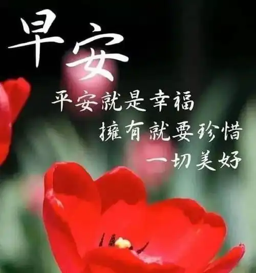 新的一周早上好问候语句子和图片中老年人早晨祝福表情包
