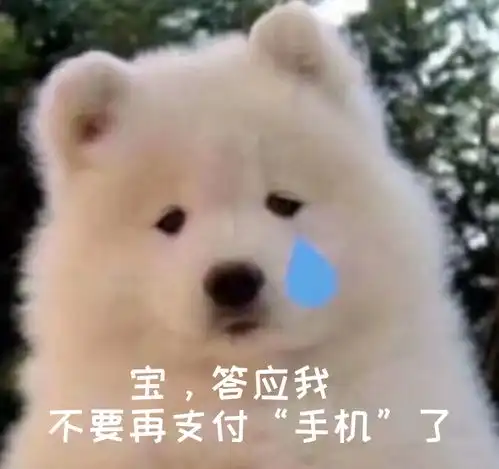 在公交车上,做这件事你一定会后悔