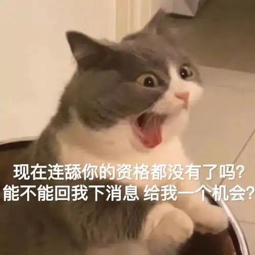 表情包凶我你三年硬不起来
