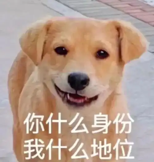 今日表情包,请注意查收
