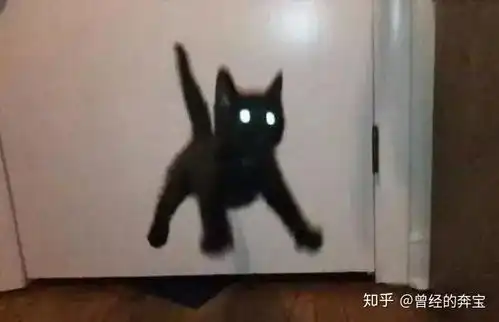 有哪些沙雕表情包模版
