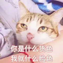 表情包嘴甜是因为心甜,心甜是因为里面有你
