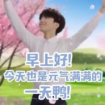 tfboys中老年表情包大全
