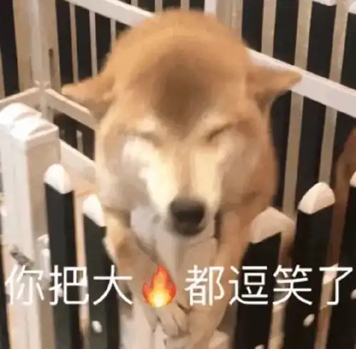 斗图表情包不斗图不快乐
