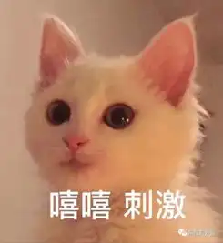 昕薇模特一姐成过期网红,却误打误撞整成了台湾富二代收割机