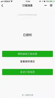 微信推出春节特效自拍表情小程序内测新功能微信支付新能力
