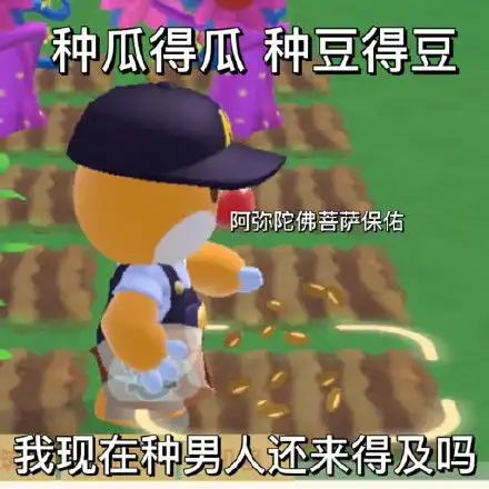 摩尔庄园表情包汇总最新摩尔庄园表情包超全摩尔庄园表情包动图
