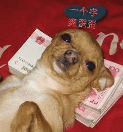 周末愉快送你几个笑话,不得不看真是太给力了
