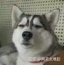 有没有狗狗的表情包就是一只眉毛很粗的可能给出来的感觉是呆滞的那个表情包

