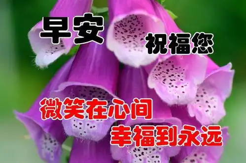 清晨早晨好深深的祝福语图片带字,最美早晨好图片动态表情问候朋友
