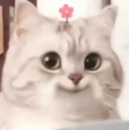 小孩吃惊表情包
