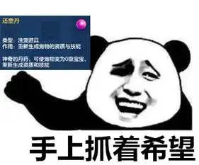 2发通灵符洗出2只这样资质的满技能宝宝,只算是运气不错
