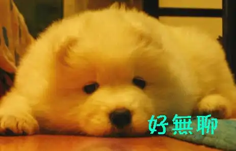 贼好吃的一片肉滑嫩爆汁,乱拌都香
