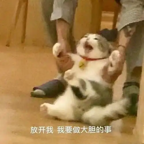 沙雕表情包文案渴望该死的爱情
