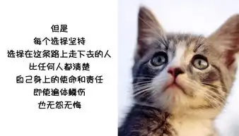 学医前后的表情,总有一张戳中你
