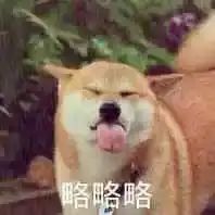 沙雕斗图表情包我看你缺少社会的毒打
