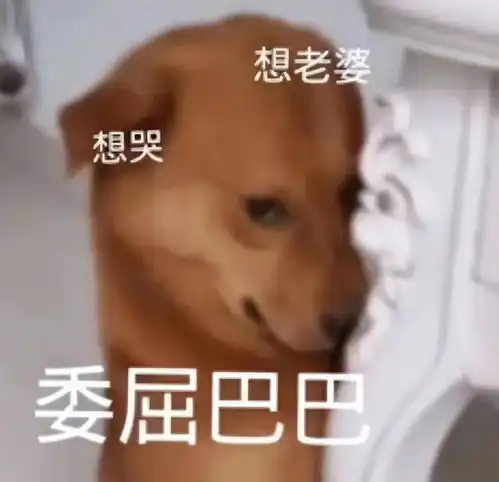 网红表情包委屈小狗遭针扎虐待主人回应就为涨粉折磨它
