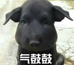 气鼓鼓表情包动物版下载气鼓鼓表情包下载飞翔下载
