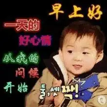 有哪些适合给长辈发的表情包
