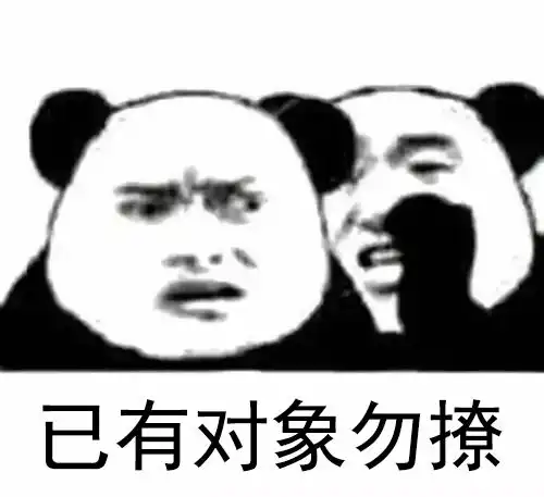 已有对象勿撩表情包图片
