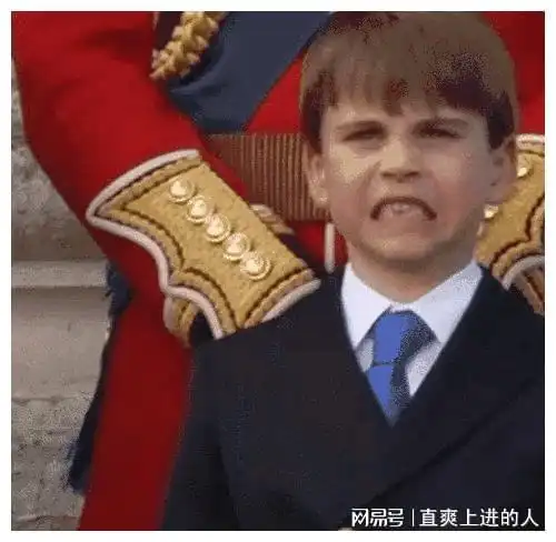 路易小王子参加皇家阅兵表情包集锦

