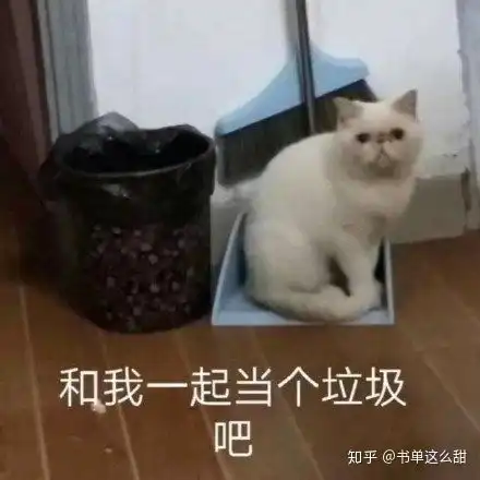 有哪些沙雕的句子
