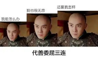 独步天下张睿代善三连表情包搜狐搞笑搜狐网
