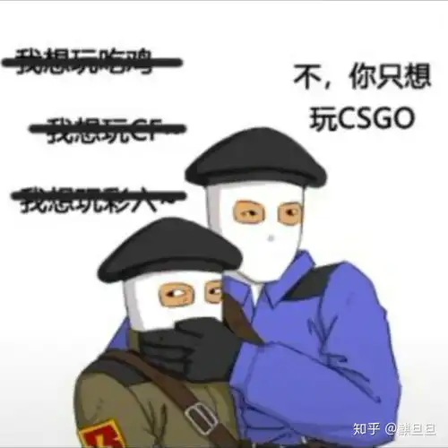 有哪些关于csgo的表情包
