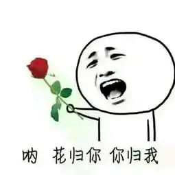 网念1吉吉视频直播全集网念1吉吉资料大全yy官方
