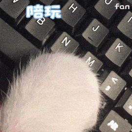 别敬屎不吃吃罚屎丨第312期喵表情包
