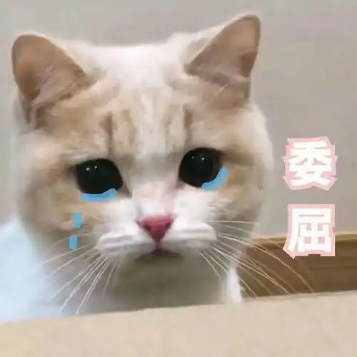 重看延禧,看到全家阻止傅恒修休妻那一段
