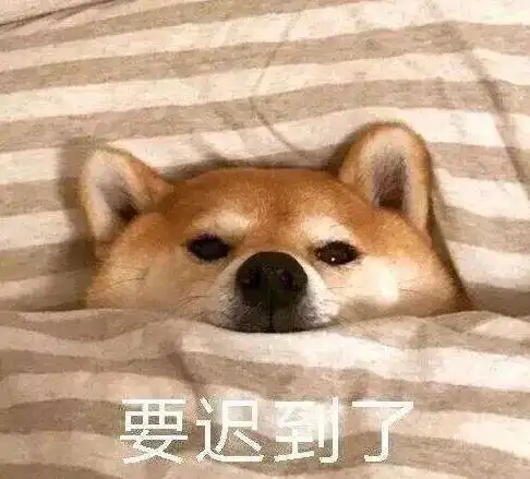 13断崖式降温淄博将迎5场雪
