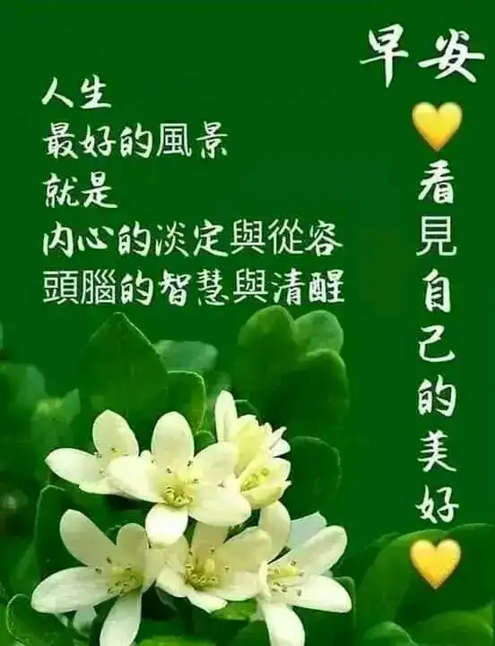 人生的每一场相遇,都是缘分,没有对错,早安
