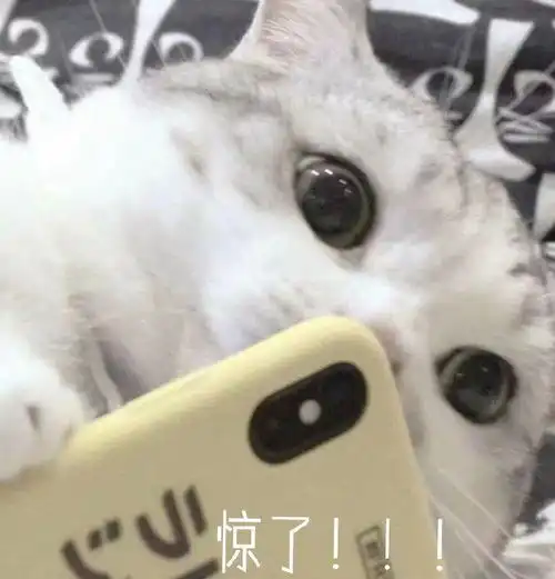 魂土鬼吞司机要求
