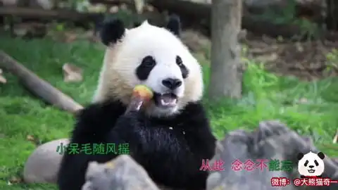 奇一虽然那么不想起,可是谁让我是敬业兔兔呢,挣扎着起床卖萌挣钱钱去喽,我要赚好多小钱钱,给老干妈们买鞋子买包包,给老干爹娶媳妇哔哩哔哩bilibili
