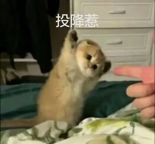 当我成为傻王爷的丫鬟连上一期当我成为傻王爷的王妃十六
