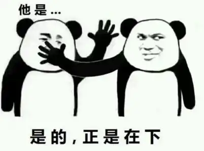 我没有表情包