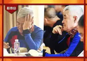 两会明星举手投足都是戏,成龙宋丹丹送表情包8929025大...
