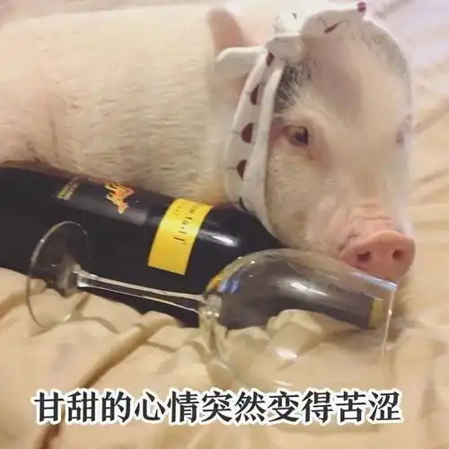 幽默逗趣的句子,日常一乐,精辟逗比,笑翻众人359坑爹小哥哥美女路考手机网易网
